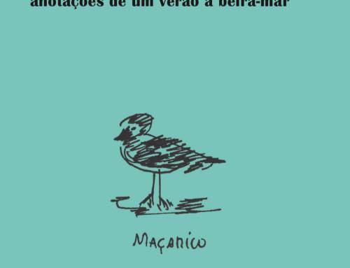 Conversas da praia, anotações de um verão à beira-mar