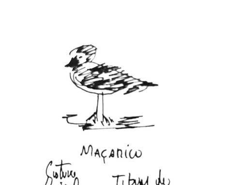 Conversas da praia, anotações de um verão à beira-mar