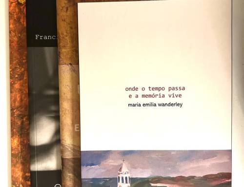 Mais livros para a Biblioteca Municipal de Tibau do Sul