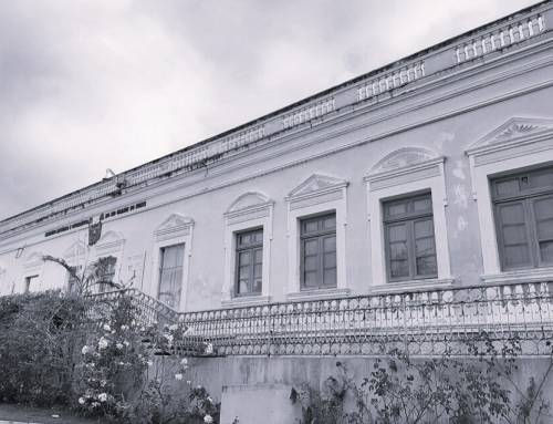 IHGRN recebe doação de obras sobre a formação histórica e visual do Brasil