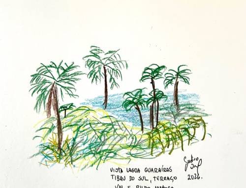 Tibau do Sul