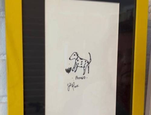Exposição & livros